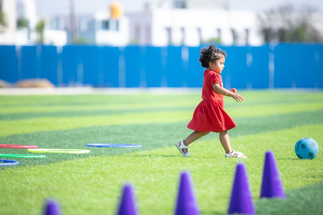 其他新兴国 其他新兴国