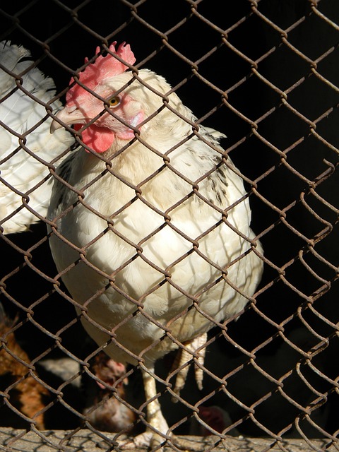 经过多年的 经过多年的