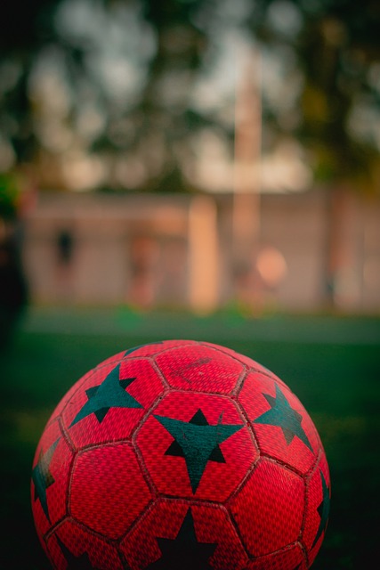 从一开始便 从一开始便