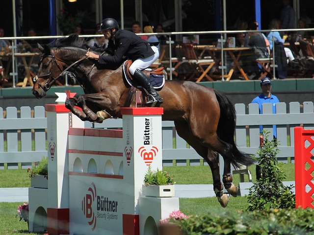 体育不仅仅 体育不仅仅