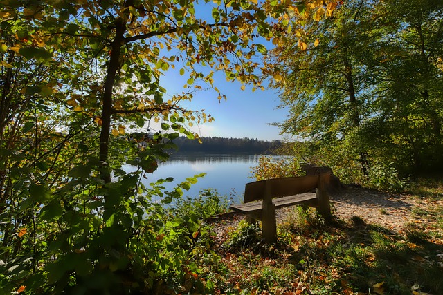 间微妙的平 间微妙的平