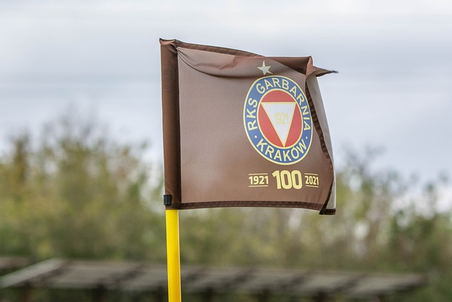 介入不当 介入不当