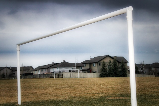 比賽的高度 比賽的高度