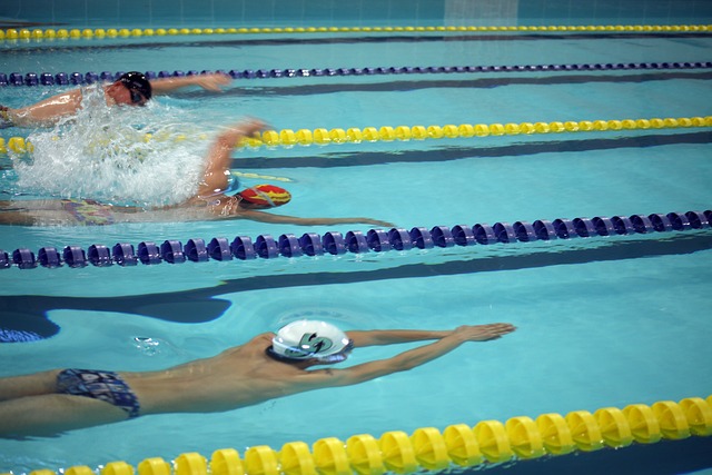 湖人处于西 湖人处于西