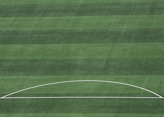 的当家球星 的当家球星